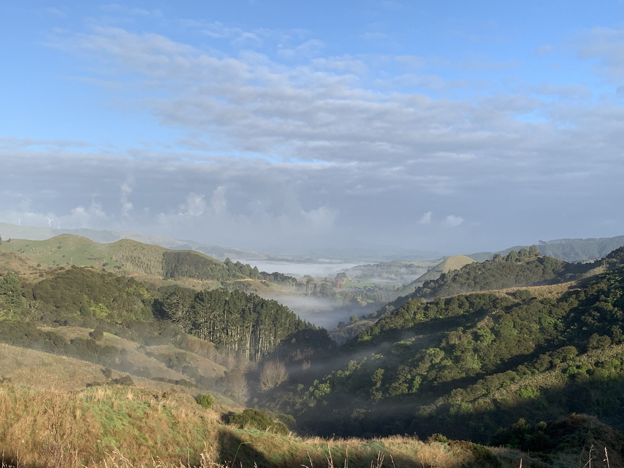 Hills, near Raglan